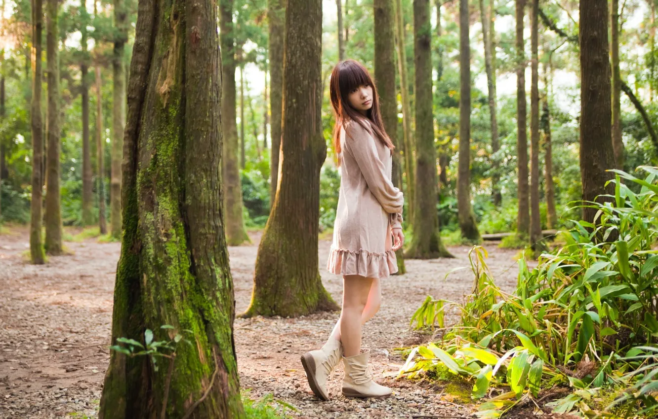 Фото обои лес, девушка, японка, азиатка