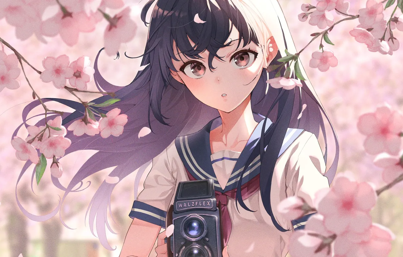 Фото обои девушка, весна, камера, школьница, цветение