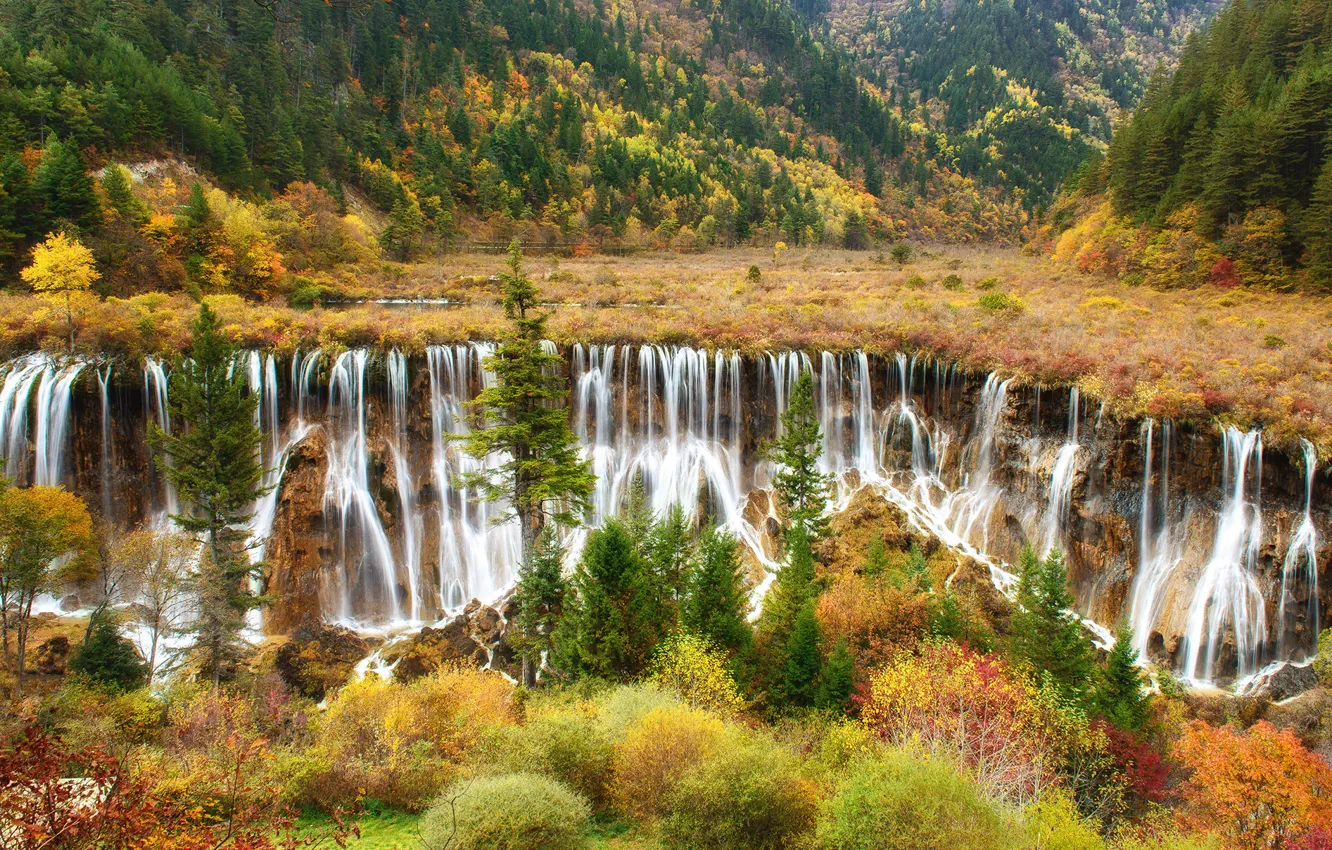 Фото обои осень, лес, вода, водопад, потоки