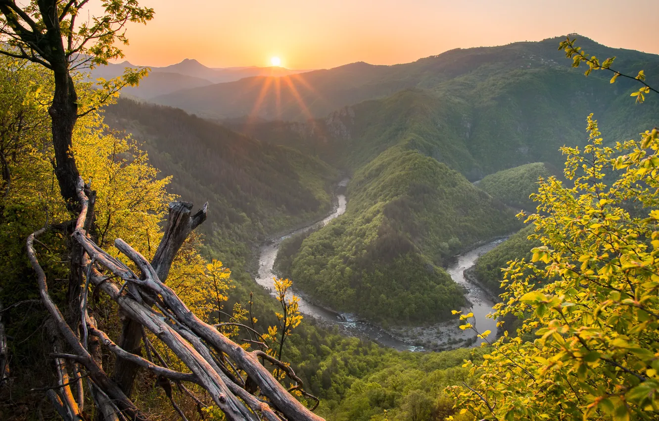 Фото обои осень, солнце, горы, туман, река, холмы, листва, высота