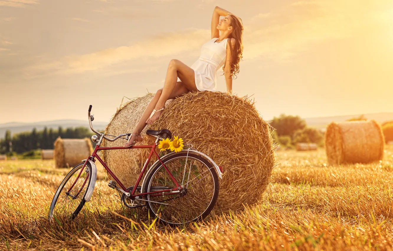 Фото обои поле, девушка, велосипед, подсолнух, стог сена
