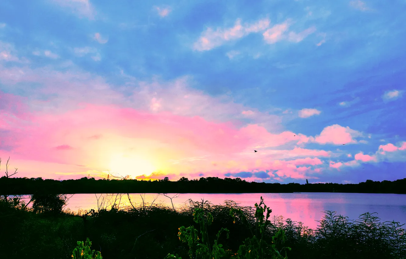 Фото обои Sky, Sun, Water, Sunrise, Dawn, Morning, Lake, Trees