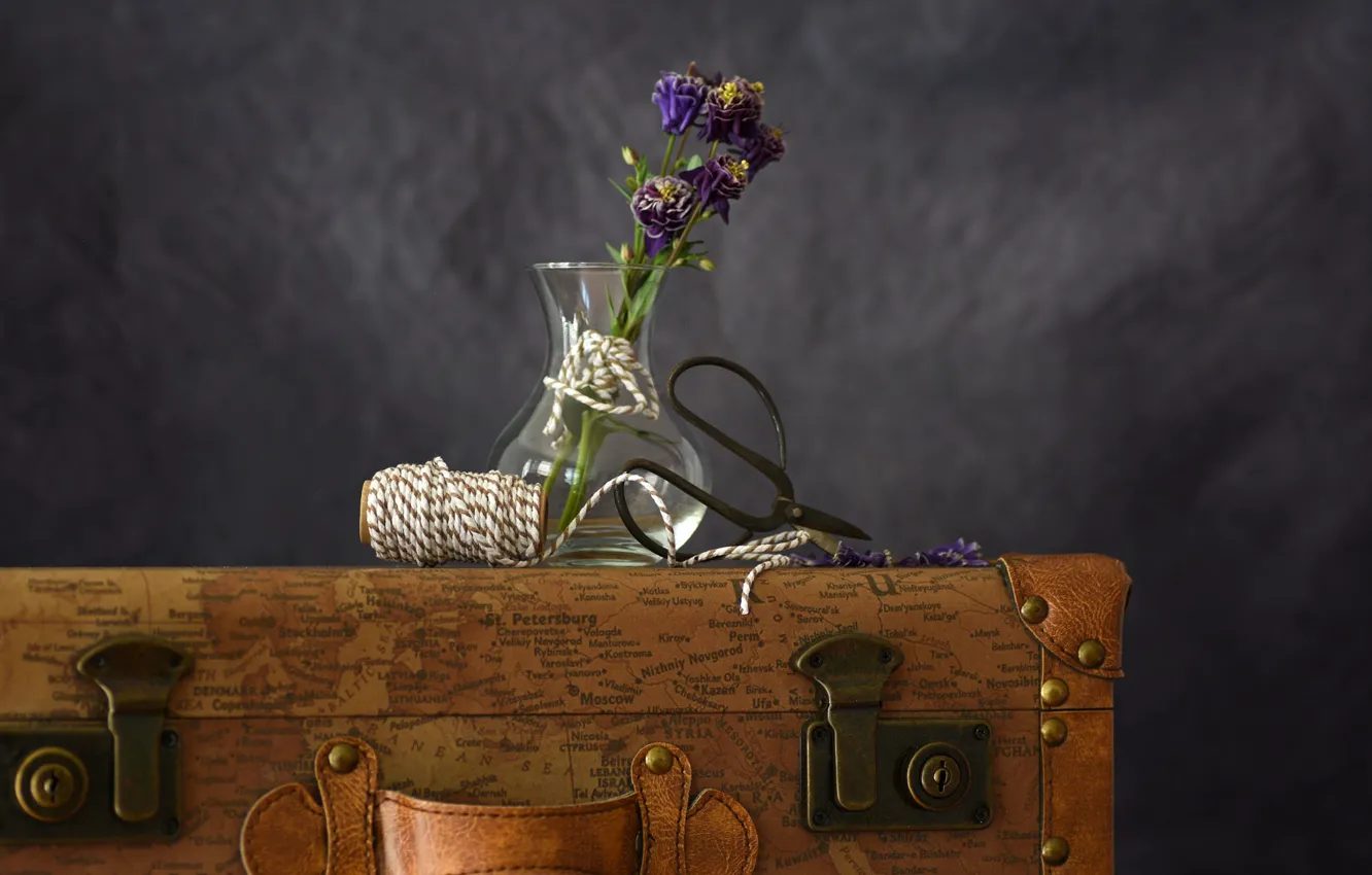 Фото обои цветы, веревка, ваза, чемодан, натюрморт, букетик, ножницы, аквилегия
