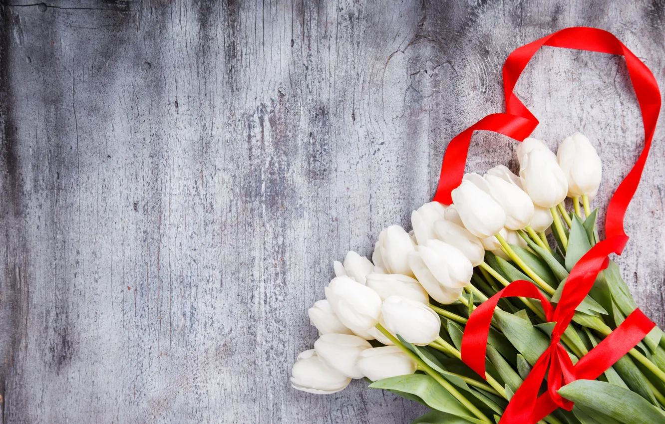 Фото обои цветы, букет, лента, тюльпаны, white, белые, flowers, tulips