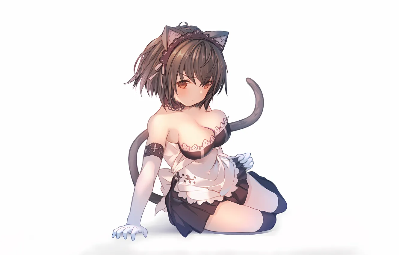 Фото обои girl, sexy, cleavage, thighhighs, dress, legs, brown hair, boobs