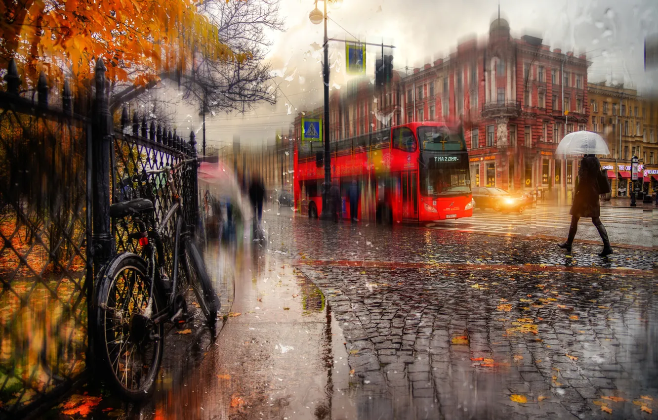 Фото обои девушка, дождь, зонт, Осень, Питер, Россия, Санкт-петербург, Екатерининский сад