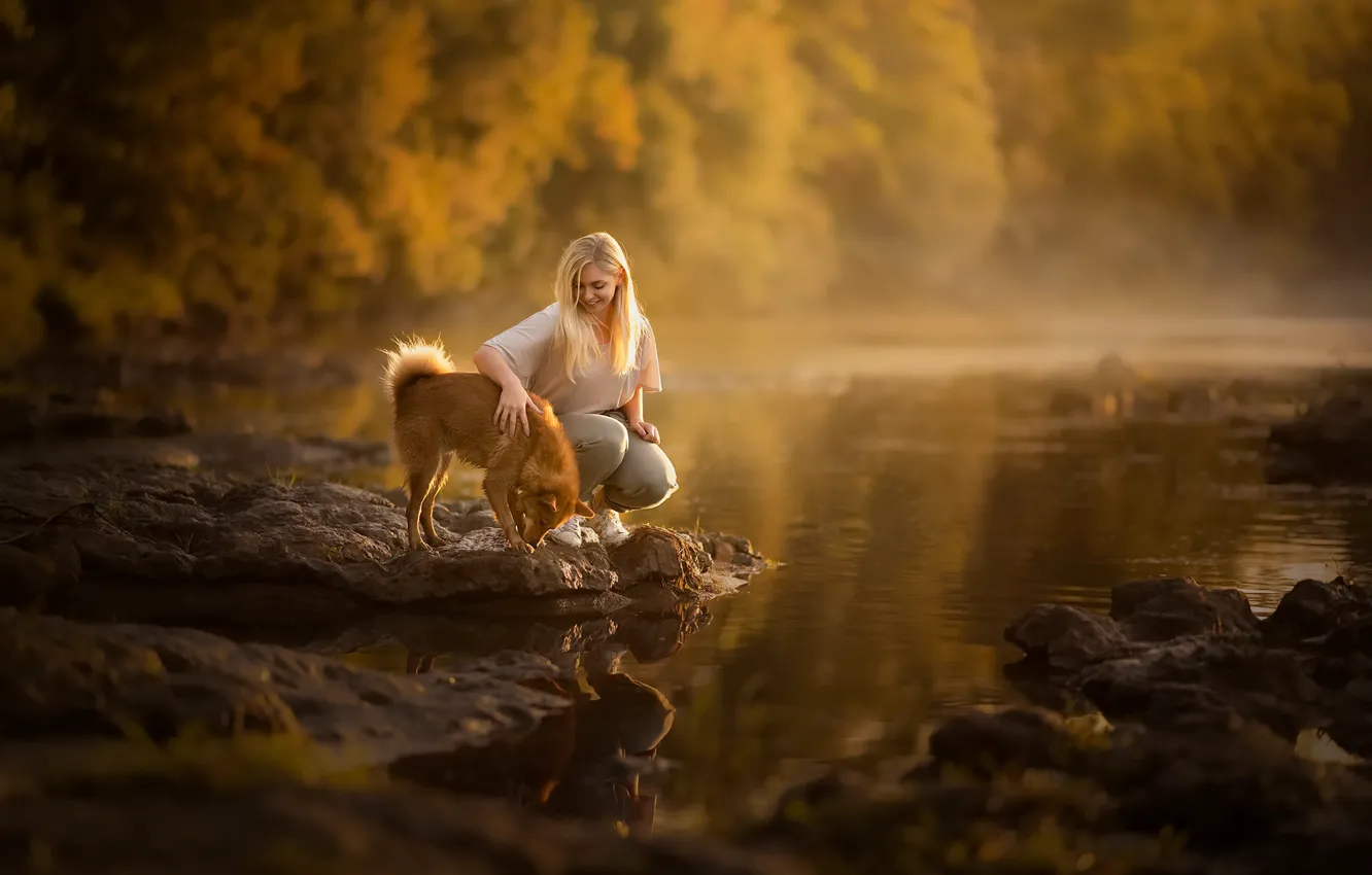 Фото обои осень, девушка, озеро, собака