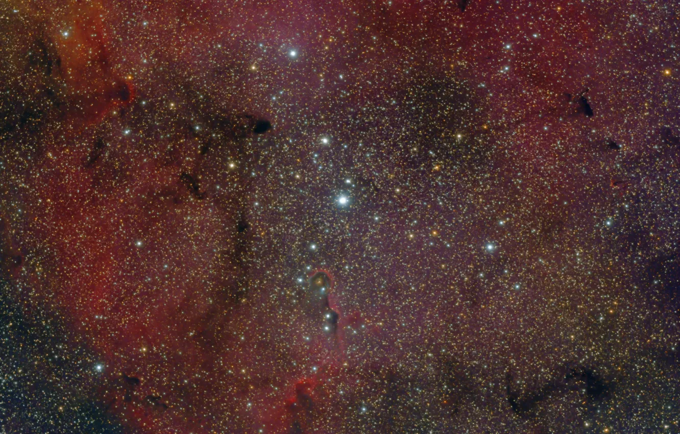 Фото обои космос, звезды, туманность, elephant trunk