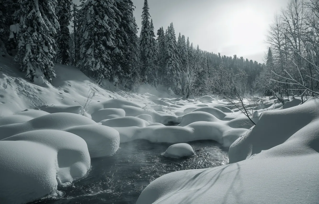 Фото обои зима, лес, снег, река, ели, сугробы, Россия, Река Амзас