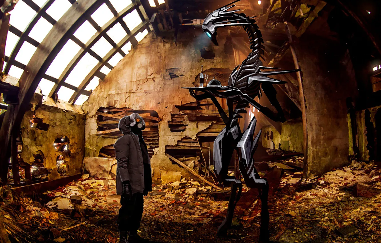 Фото обои romantically apocalyptic, the refreshments, shall i serve