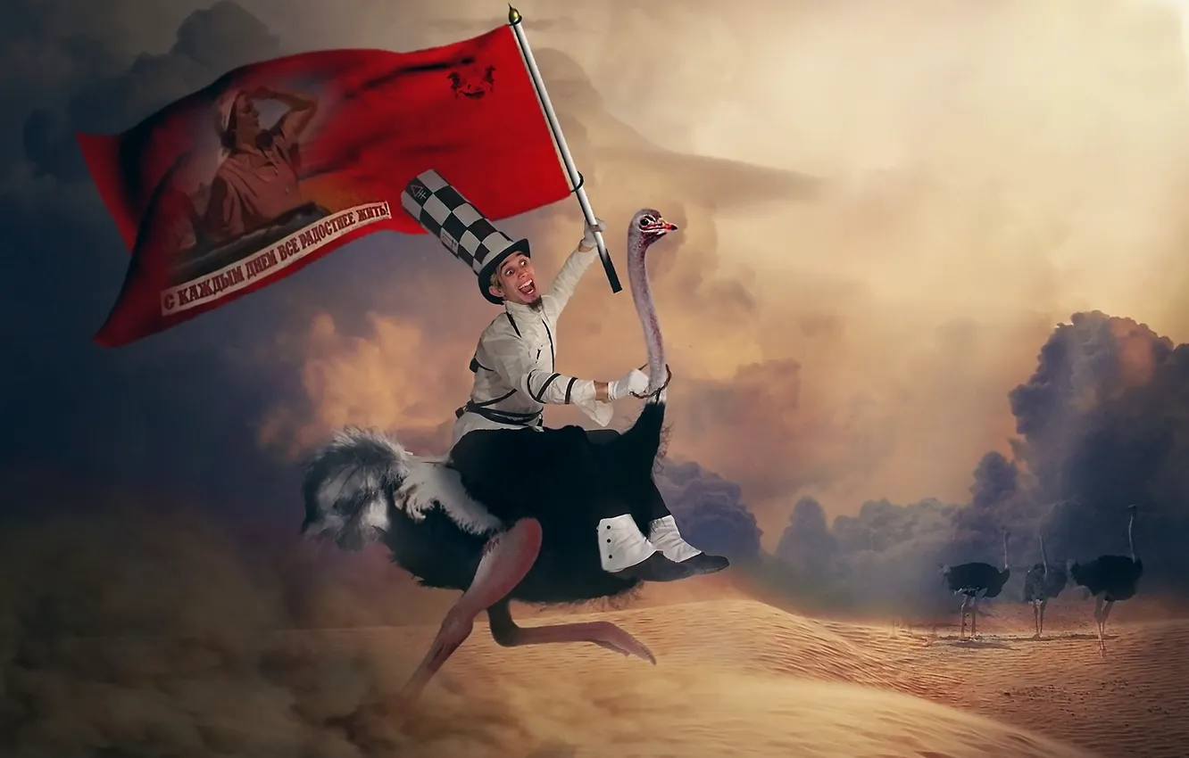 Фото обои пустыня, мужик, флаг, страус, лозунг