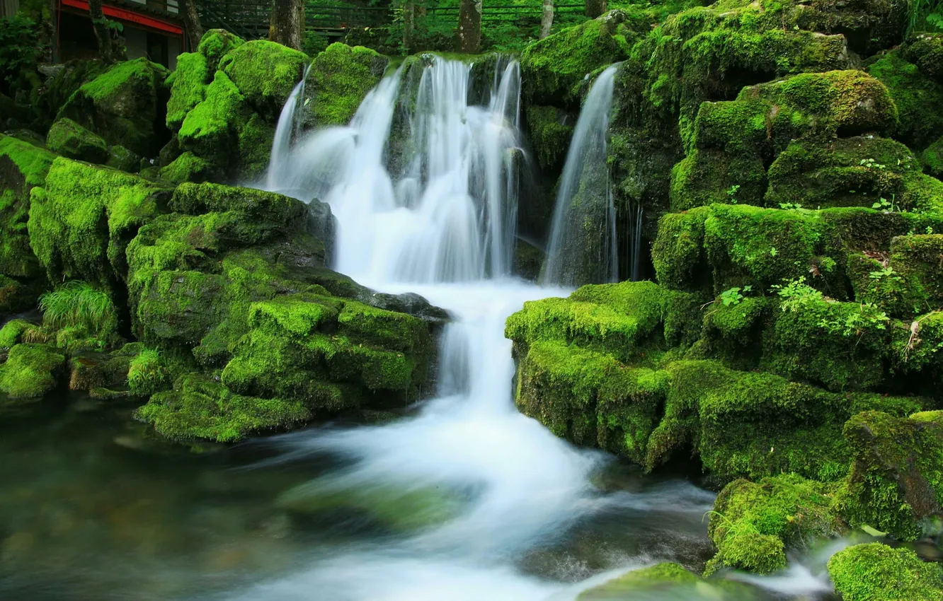 Фото обои природа, камни, водопад, мох