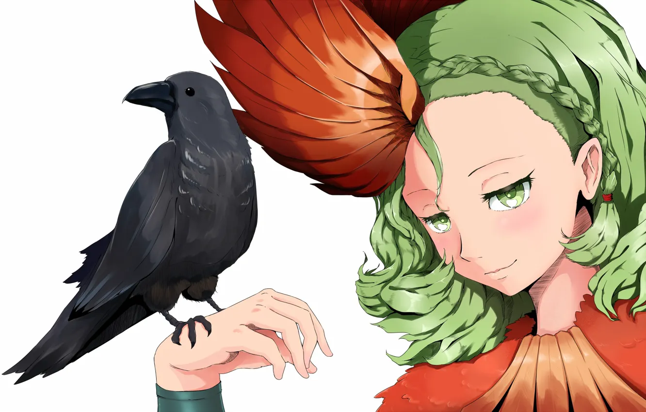 Фото обои взгляд, девушка, птица, аниме, арт, ворон, Juuni Taisen