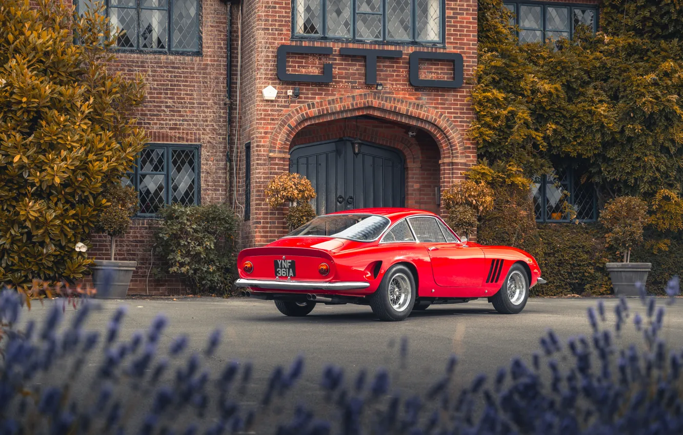 Фото обои Ferrari, 1963, 250, rear view, Ferrari 250 GT Fantuzzi Berlinetta Lusso