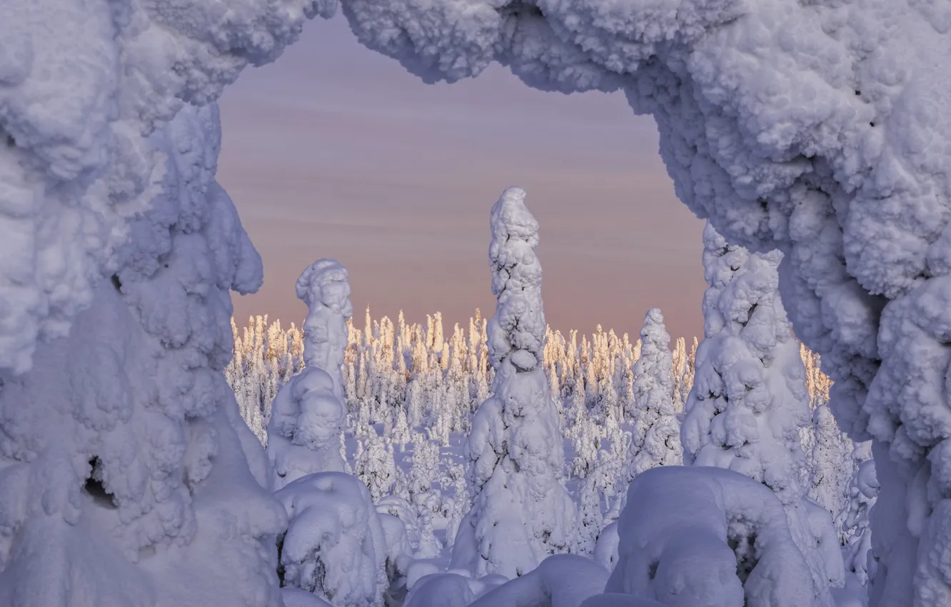 Фото обои зима, снег, деревья, пейзаж, природа, Финляндия, National Park, Riisitunturi