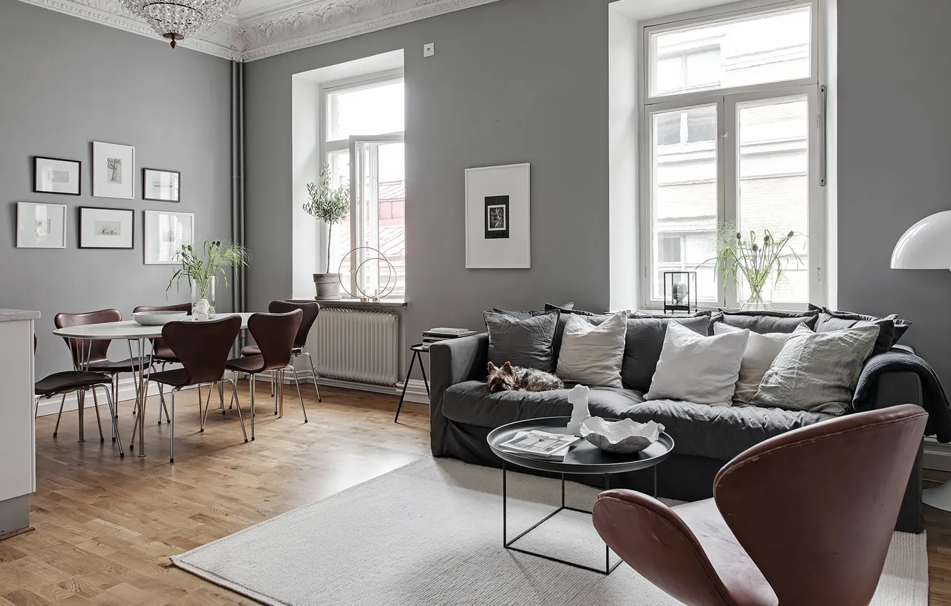Фото обои интерьер, гостиная, столовая, Скандинавский стиль, home in grey