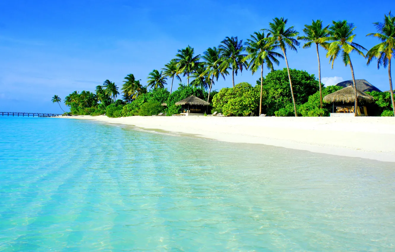 Фото обои beach, ocean, palm trees, clear water, tropic