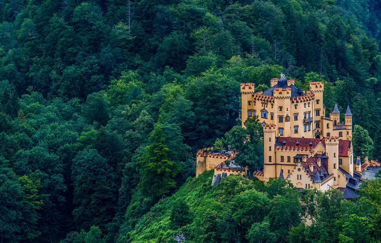 Фото обои лес, замок, Германия, Бавария, Хоэншвангау