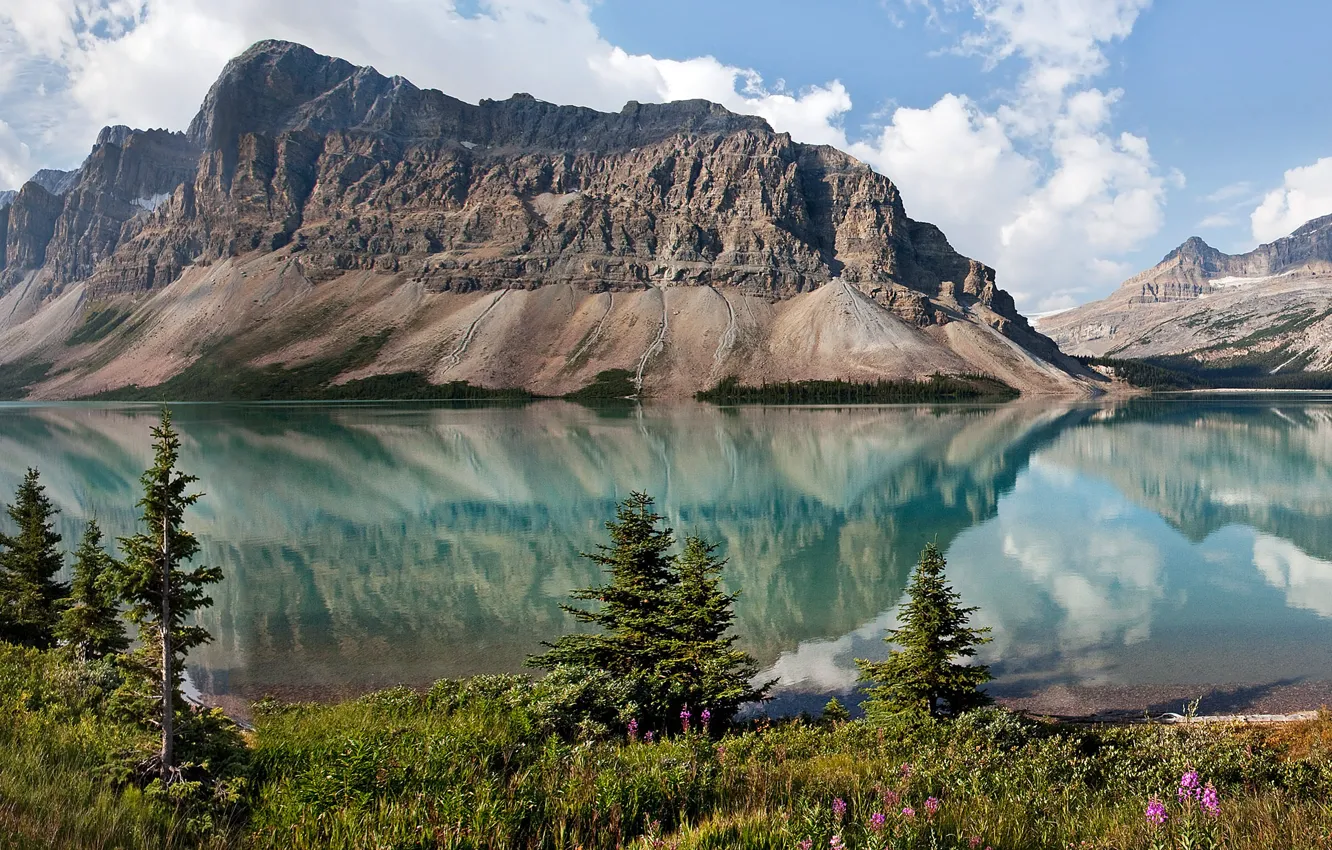 Фото обои небо, деревья, горы, природа, озеро, канада, альберта, Bow Lake