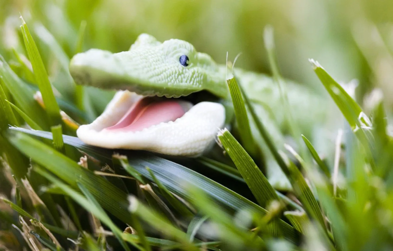 Фото обои трава, крокодил, Игрушка