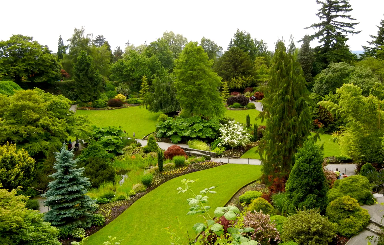 Фото обои зелень, деревья, дизайн, парк, газон, Канада, Ванкувер, кусты