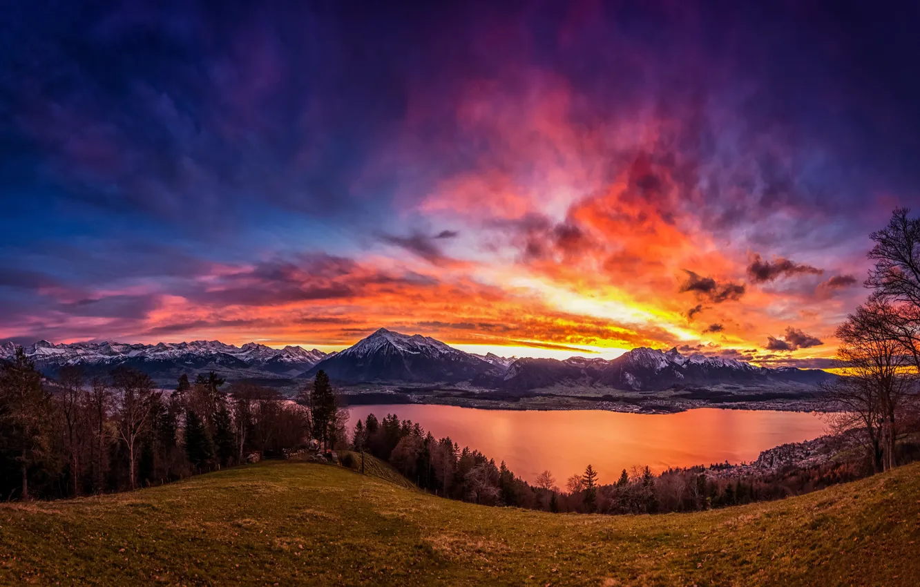Фото обои небо, деревья, закат, горы, озеро, Швейцария, Switzerland, Lake Thun