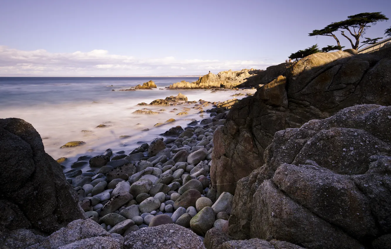 Фото обои пляж, деревья, камни, скалы, USА, Pacific Grove Acres, Pacific Grove
