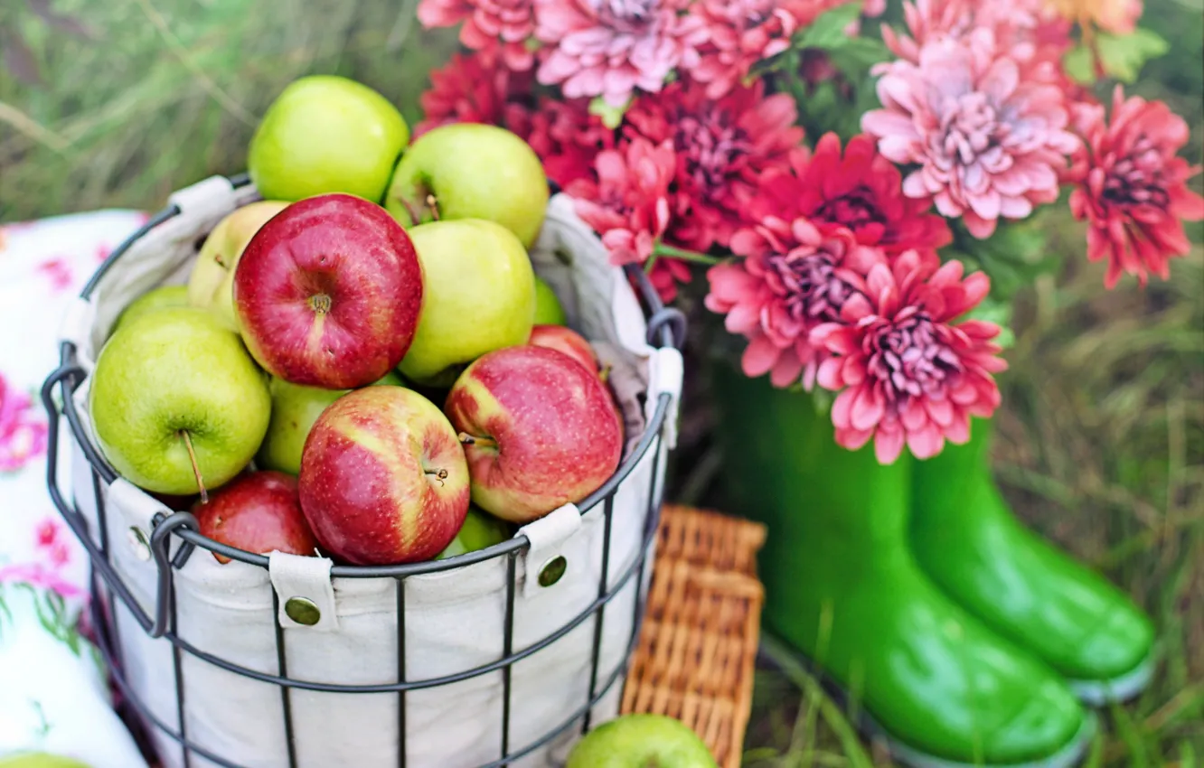 Фото обои трава, цветы, корзина, яблоки, сапоги, плоды, фрукты, пикник