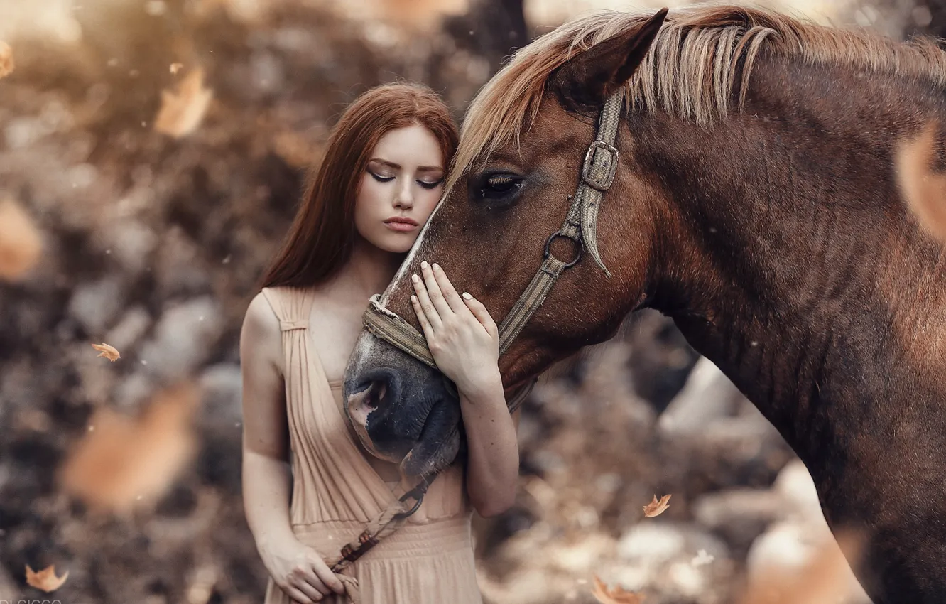 Фото обои взгляд, листья, девушка, лошадь, Alessandro Di Cicco