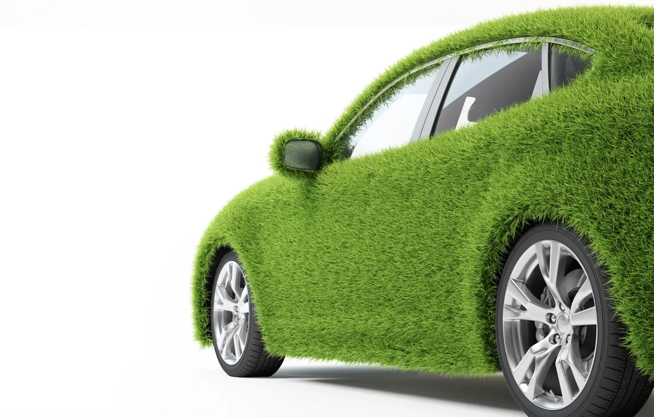 Фото обои машина, трава, зеленый, транспорт, автомобиль