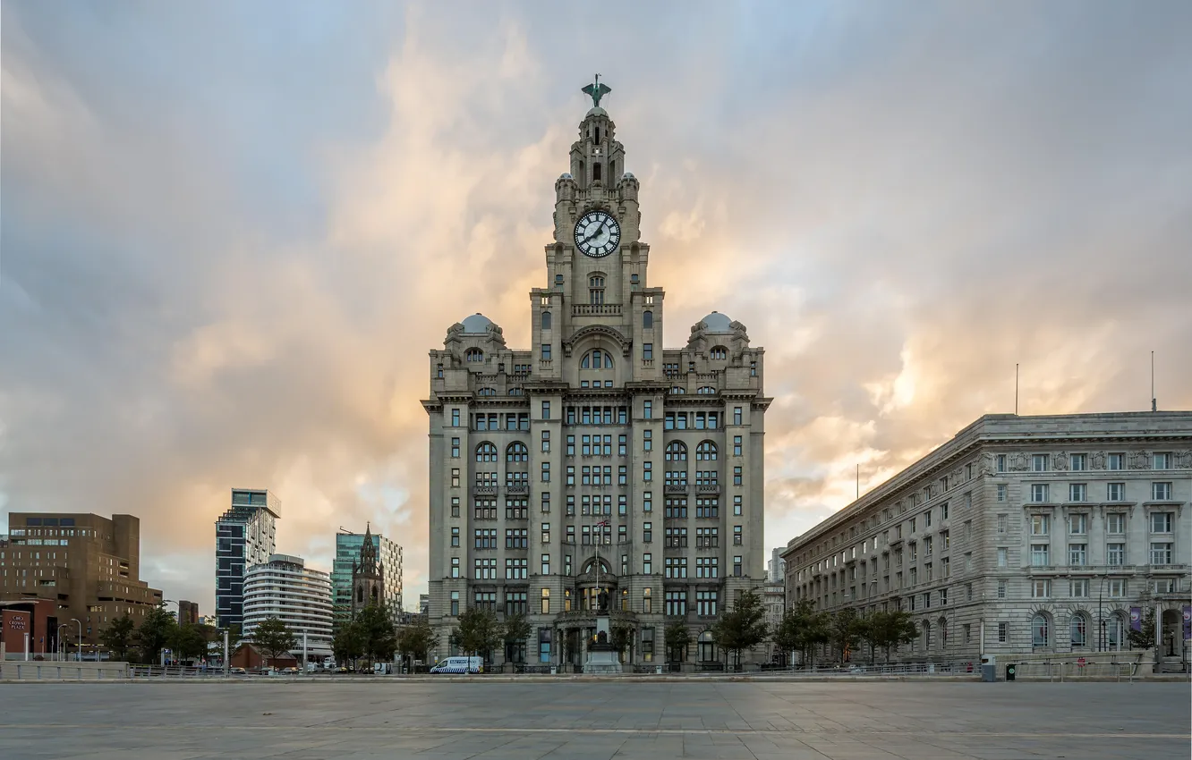 Фото обои city, bird, liverpool, architecture, clock, building, royal, travel