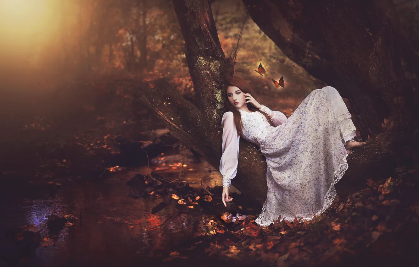 Фото обои осень, лес, девушка, бабочки, ручей, дерево, настроение, платье