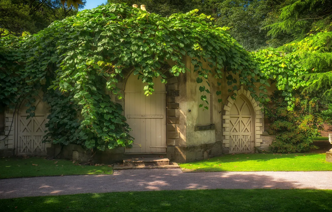 Фото обои зелень, дом, двери, арки, сказочно