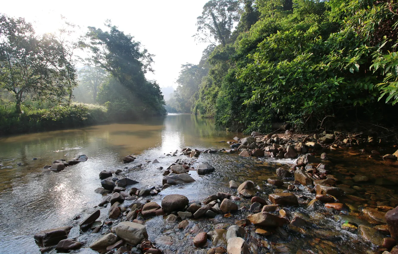 Фото обои Природа, Река, Камни, Nature, River, Malaysia, Малазия