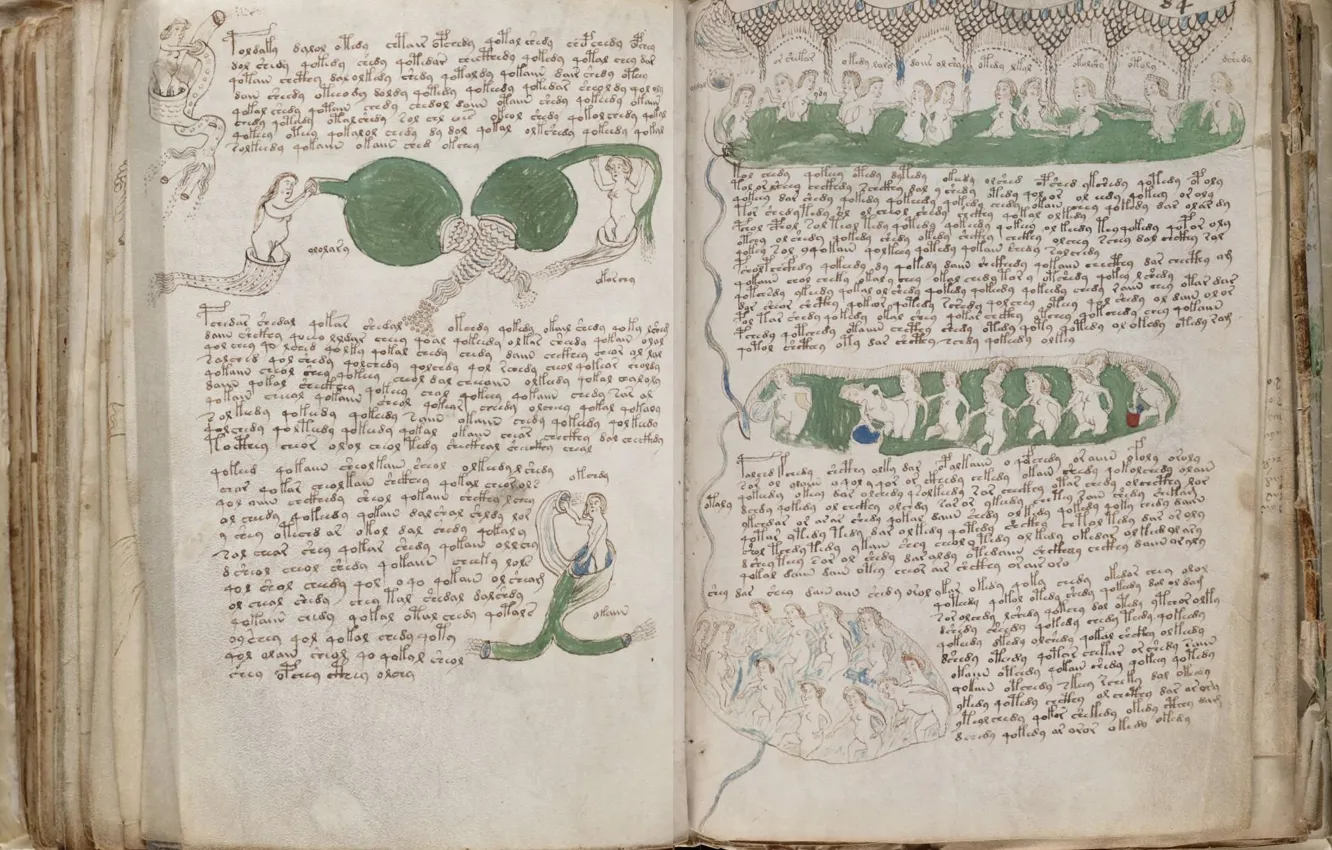 Фото обои Книга, Voynich, Рукопись, Рукопись Войнича, Manuscript, Войничь