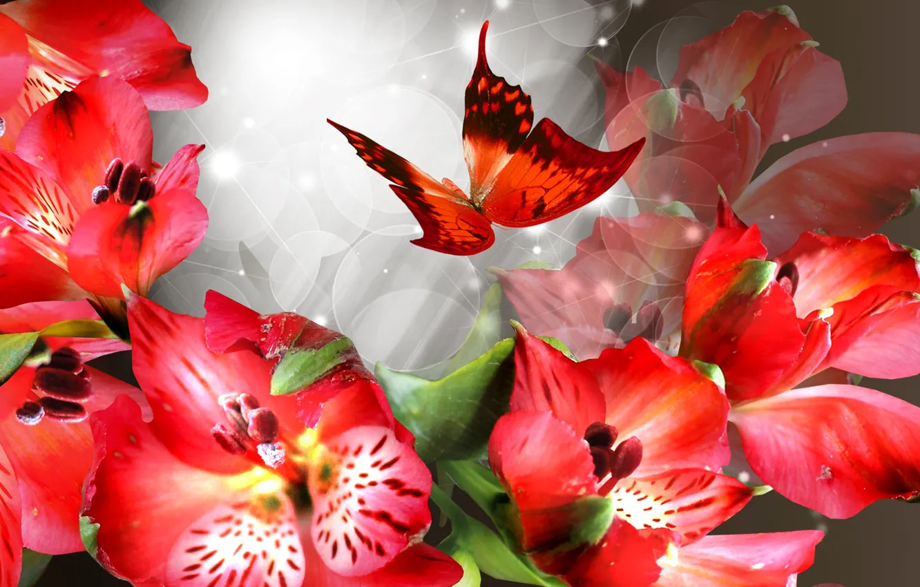 Фото обои цветы, коллаж, бабочка, лепестки, открытка