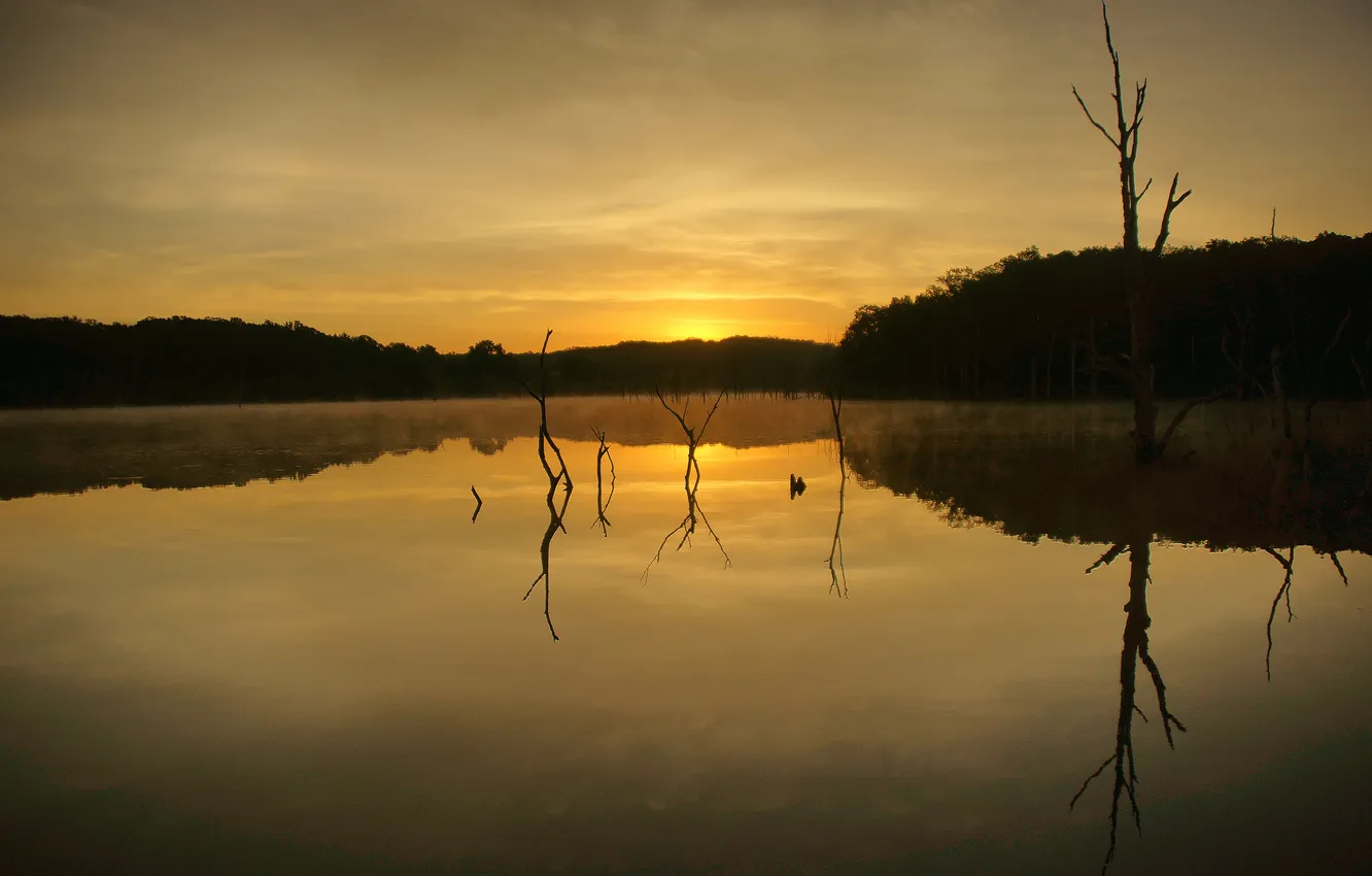 Фото обои лес, озеро, отражение, рассвет