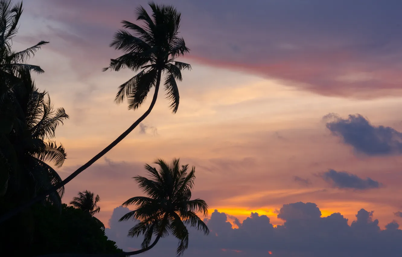 Фото обои закат, природа, пальмы, океан, мальдивы