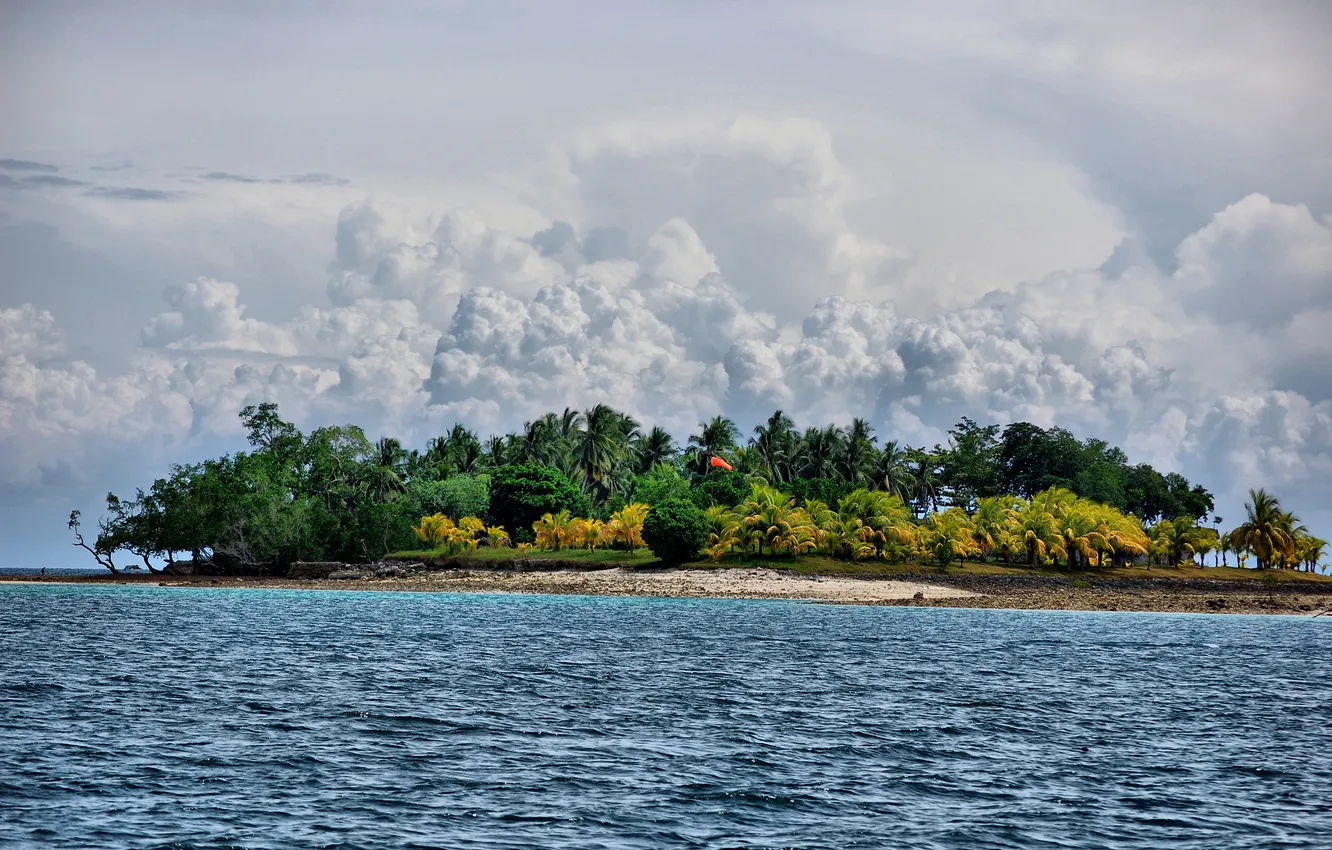 Фото обои море, деревья, пальмы, островок.