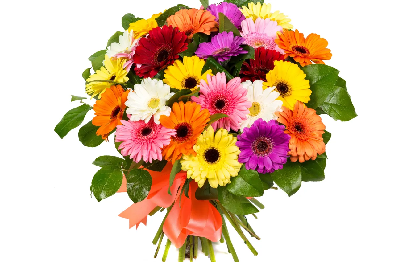 Фото обои природа, букет, лепестки, герберы
