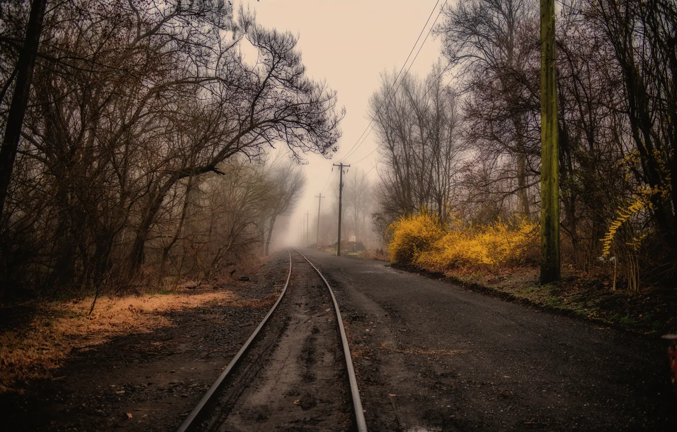 Фото обои туман, железная дорога, лэп