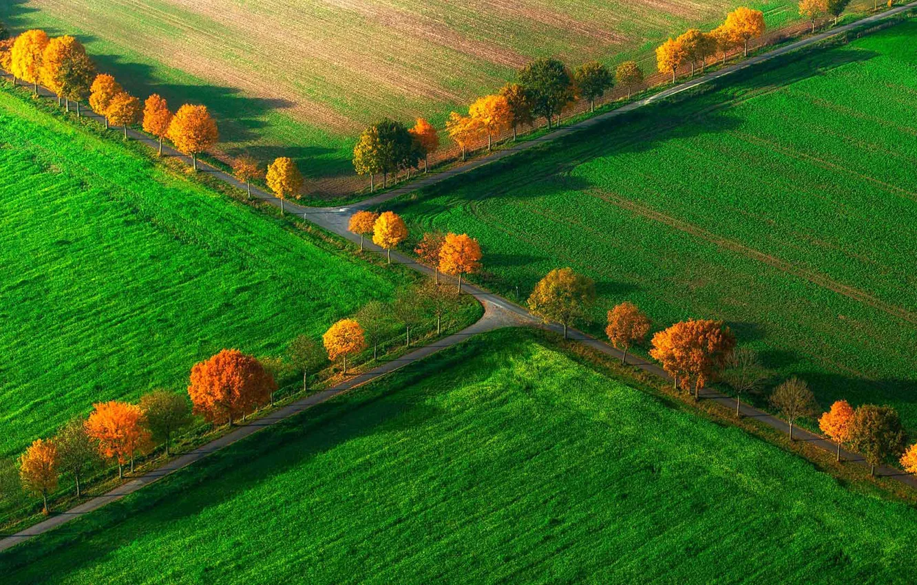 Фото обои поле, осень, деревья, Германия, Северный Рейн-Вестфалия, Ноттульн