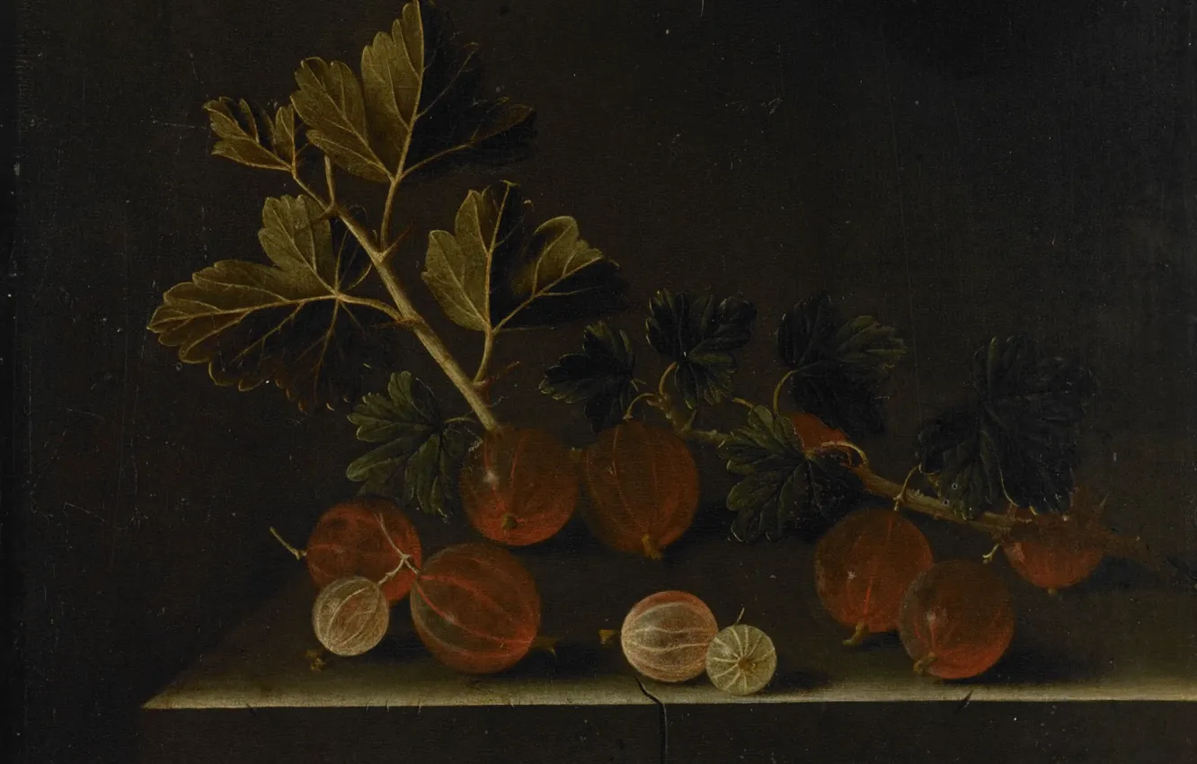 Фото обои ягоды, картина, натюрморт, Адриан Коорт, Веточка Крыжовника на Каменном Постаменте