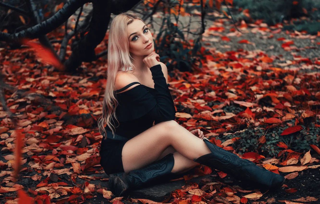 Фото обои осень, взгляд, листья, девушка, поза, ноги, сапоги, блондинка