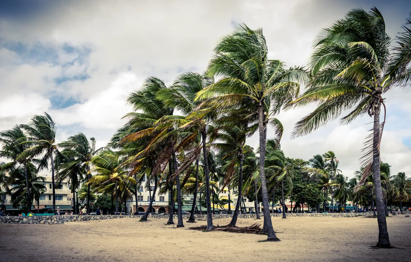 Фото обои песок, небо, дом, парк, пальма, пальмы, люди, здание