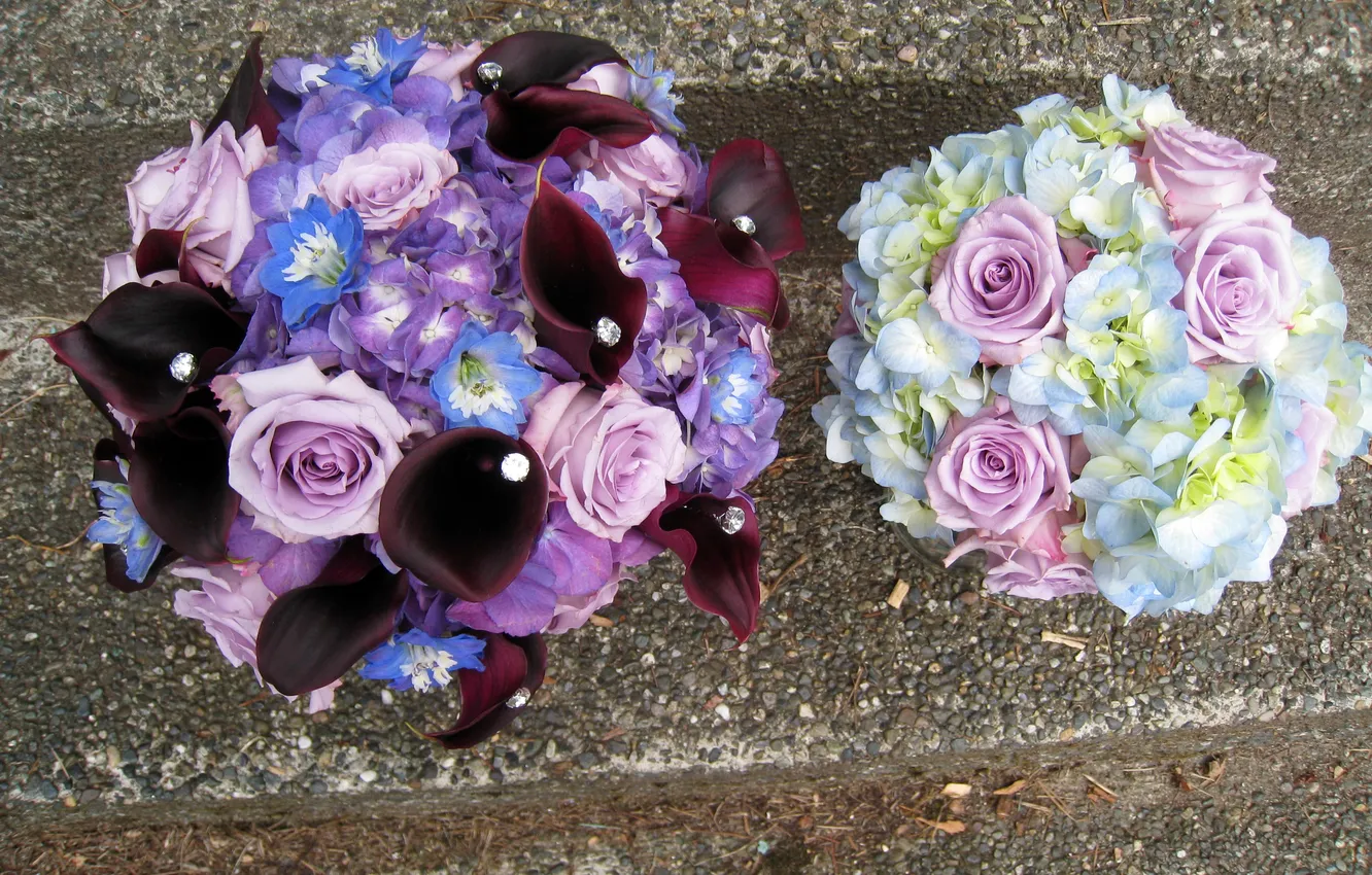 Фото обои цветы, фото, розы, гортензия, букеты, каллы
