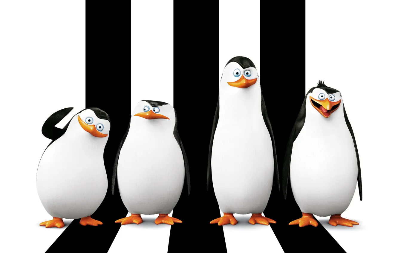 Фото обои мультфильм, Рико, Skipper, Kowalski, Classified, Corporal, Penguins of Madagascar, Ковальски