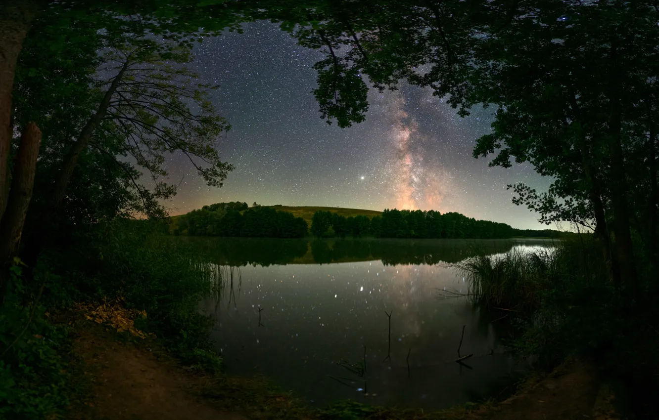 Фото обои деревья, пейзаж, ночь, природа, озеро, звёзды