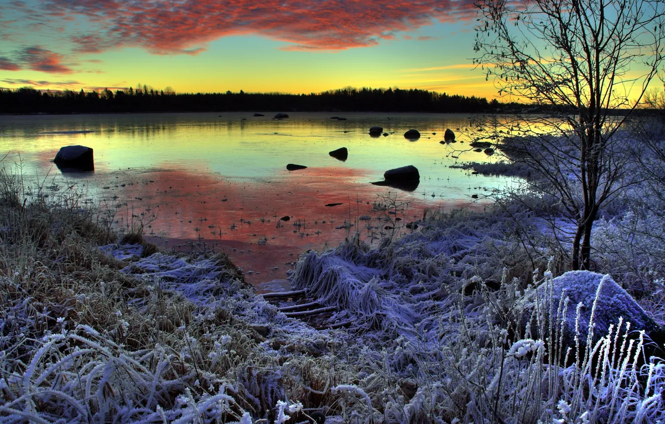 Фото обои зима, иней, пейзаж, закат, озеро
