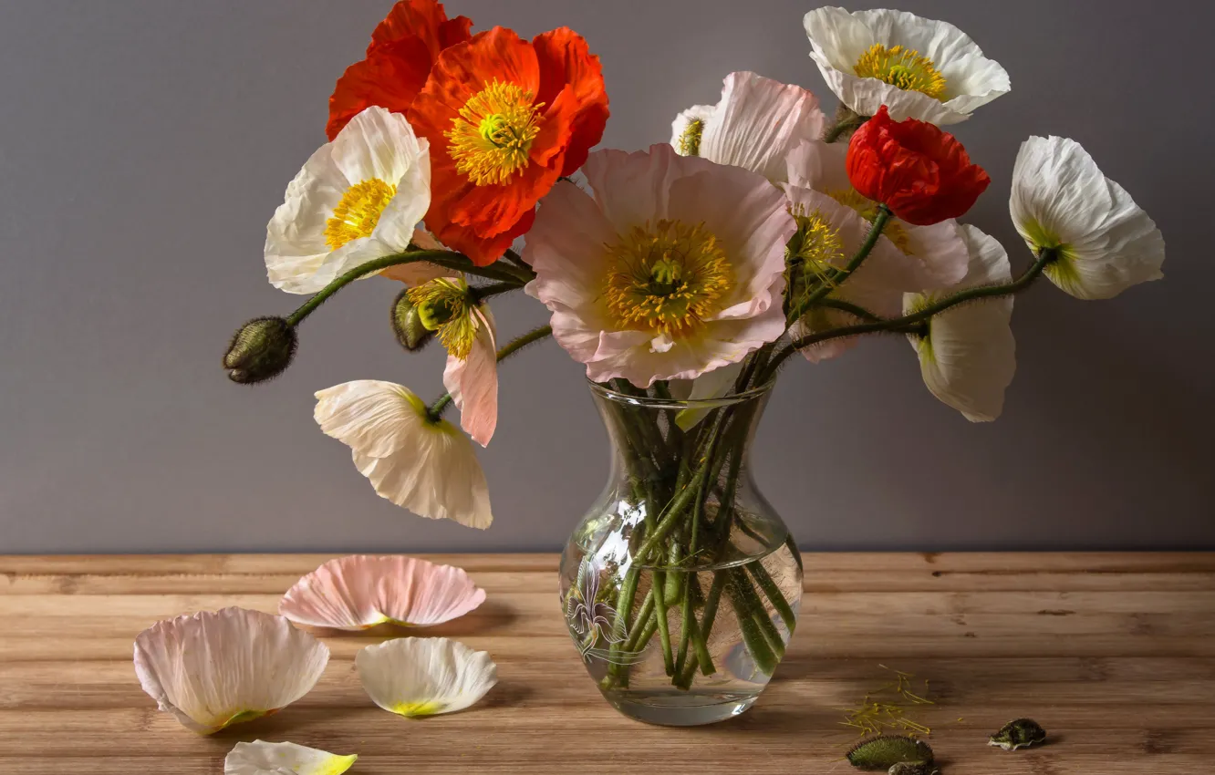 Фото обои Маки, Ваза, Лепестки, Vase, Poppies